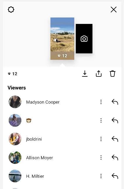 Instagram story viewer